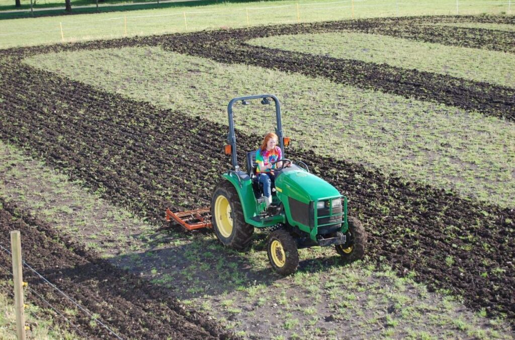 An expert operating an arena drag for horses