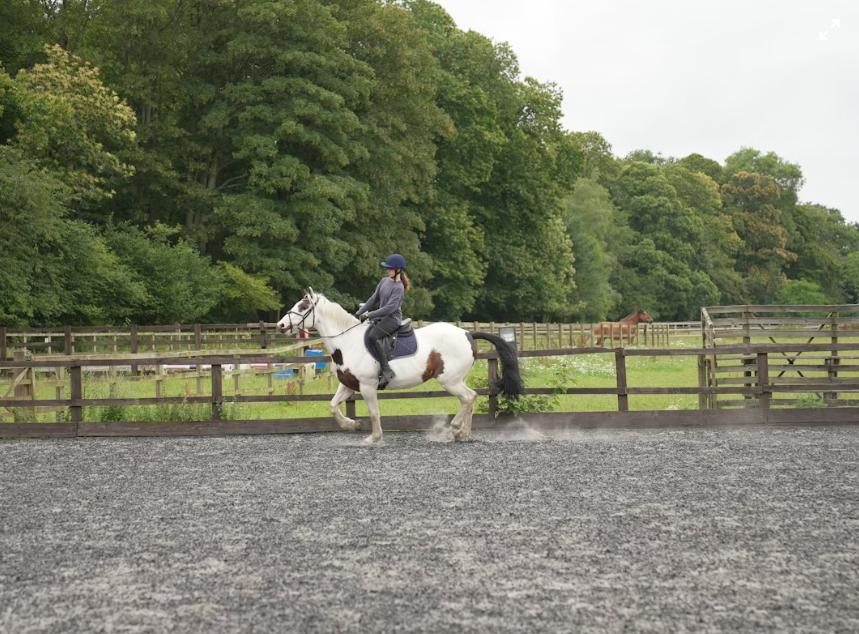 A woman riding a horse in an arena.