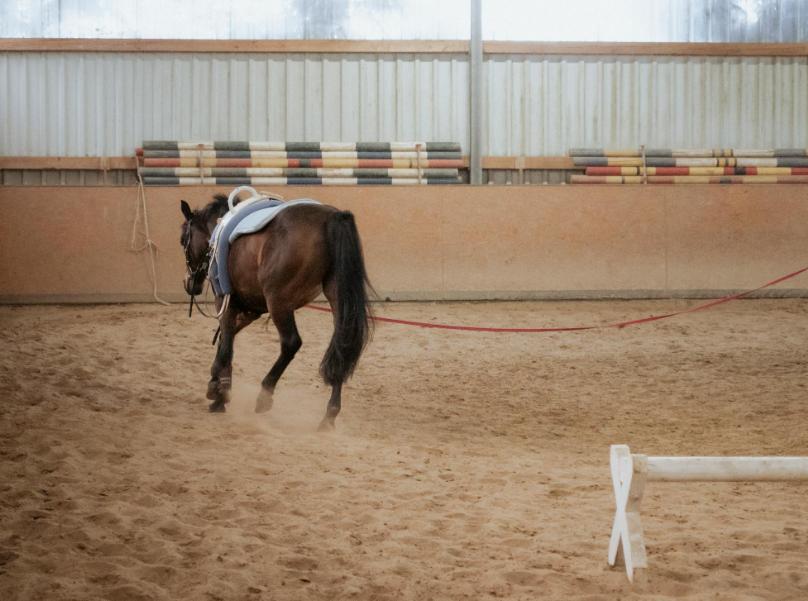 An arena leveled with arena grooming equipment.